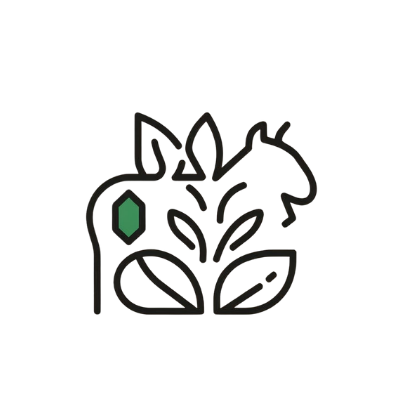 Inovação Nutricional