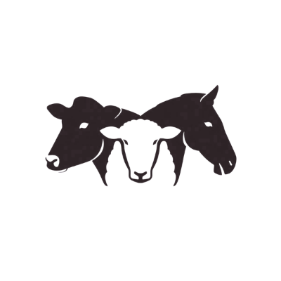 Padronização e Qualidade